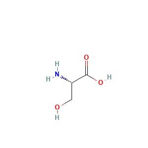 L-丝氨酸，<em>56-45-1</em>，非动物源,EP,USP,98.5-101.0%