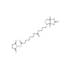 N-琥珀<em>酰</em>亚氨基6-生物<em>素</em><em>氨</em>己酸，72040-63-2，98%