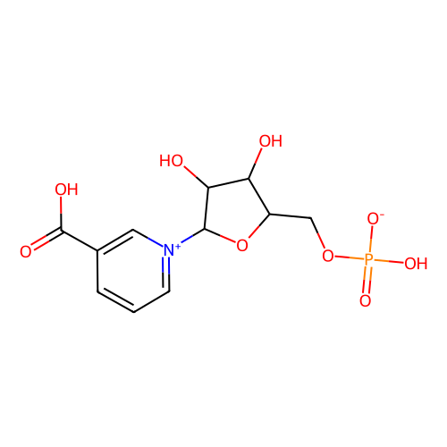 烟酸单<em>核苷酸</em>，321-02-8，95%
