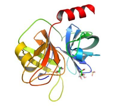 蛋白内切<em>酶</em>Lys-C，≥3.0AU/mg