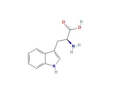 L-色氨酸，73-22-3，无动物源, 低内毒素, ≥99%,用于细胞培养(培养基原料)