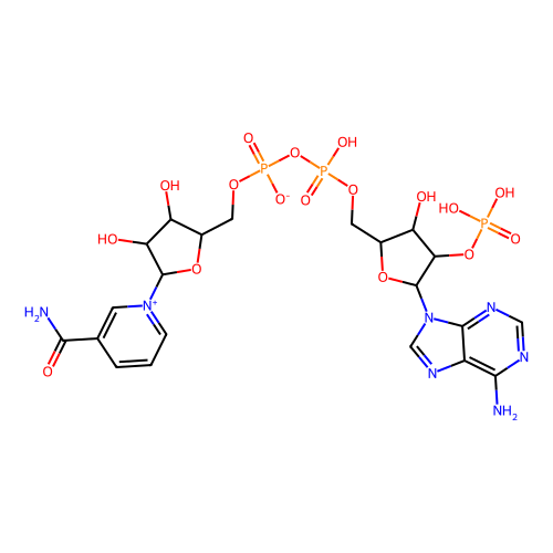 β-烟酰胺<em>腺</em><em>嘌呤</em>二核苷酸磷酸(NADP)水合物，53-59-8，95%