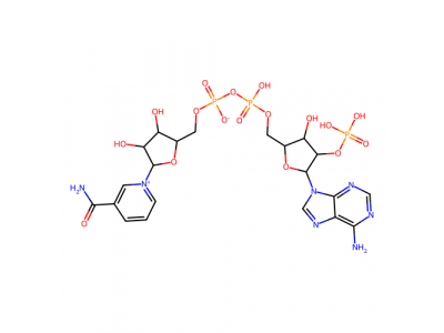β-烟酰胺腺嘌呤二核苷酸磷酸(NADP)水合物，53-59-8，95%
