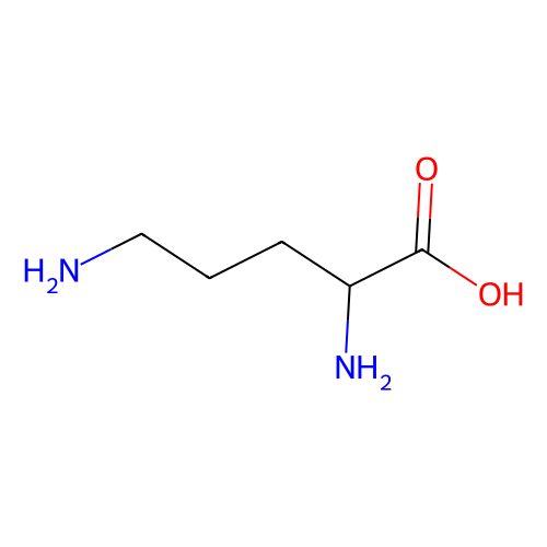 <em>L</em>-鸟氨酸，70-26-8，95%