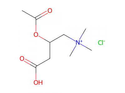 （±）-乙酰肉碱氯化物，2504-11-2，≥98%