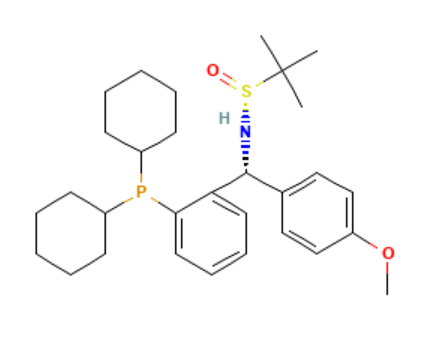 [S(R)]-N-[(R)-(<em>4</em>-甲氧基苯基)[2-(二<em>环己</em>基膦)苯基]甲基]-2-<em>叔</em><em>丁基</em>亚磺酰胺，≥95%