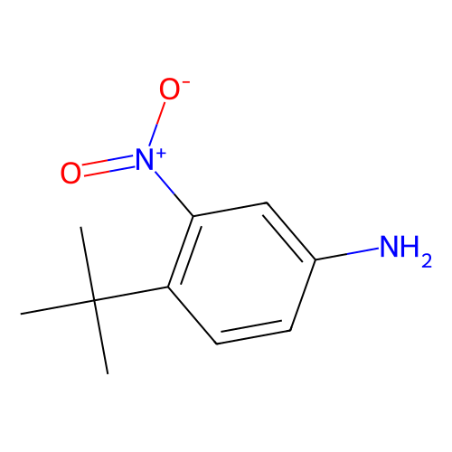 3-硝基-<em>4</em>-叔丁基苯胺，31951-12-9，98%