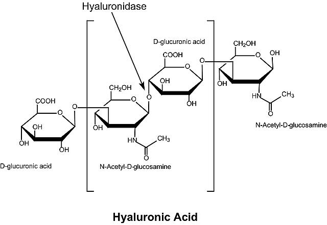 透明质酸酶，37259-53-3，≥ 300 IU/mg,from Streptomyces hyalurolyticus
