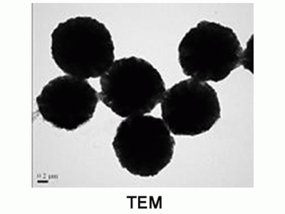 γ-三氧化二铁磁性微球，1309-37-1，基质:SiO2,表面基团:-SiOH,粒径:2-3μm,单位:10mg/ml