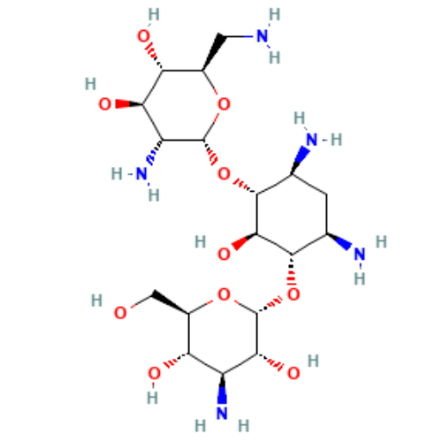 卡那霉素 B，4696-<em>76-8</em>，>98%