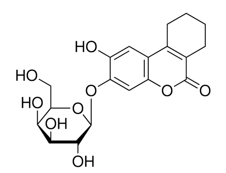 3,4-环己烯内脂β-<em>D</em>-吡喃<em>半乳糖</em>苷，182805-65-8，97%