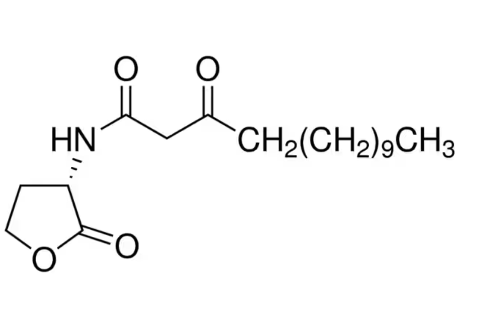N-(3-氧十四烷酰基)-L-高丝氨酸<em>内酯</em>，177158-19-<em>9</em>，≥98%