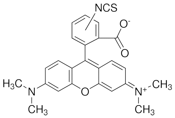 四甲基<em>罗丹明</em>-5(6)-异硫氰酸酯，95197-95-8，用于荧光,异构体混合物