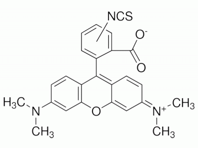 四甲基罗丹明-5(6)-异硫氰酸酯，95197-95-8，用于荧光,异构体混合物