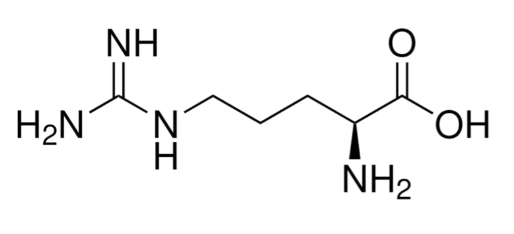<em>L</em>-精氨酸，74-79-3，非动物源，EP, USP ；用于细胞培养，98.5 to 101.0%