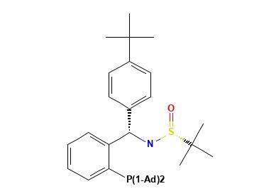 [S(R)]-<em>N</em>-[(S)-(4-<em>叔</em><em>丁基</em>苯基)[2-(二金刚烷基膦)苯基]甲基]-2-<em>叔</em><em>丁基</em>亚磺酰胺，≥95%