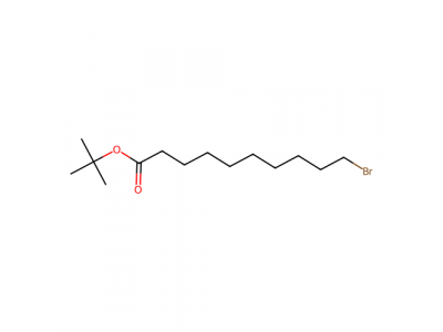 10-溴癸酸叔丁酯，1644575-06-3，97%