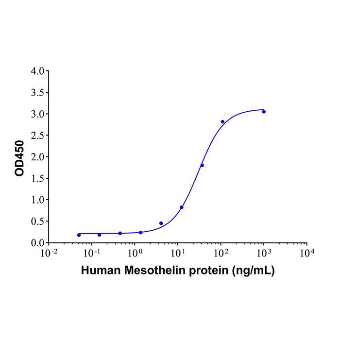 Recombinant Human Mesothelin Protein，ActiBioPure™, Bioactive, Animal <em>Free</em>, Carrier <em>Free</em>, Azide <em>Free</em>, ≥95%(SDS-PAGE)