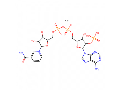 β-烟酰胺腺嘌呤二核苷酸磷酸钠盐(NADP)，1184-16-3，93%