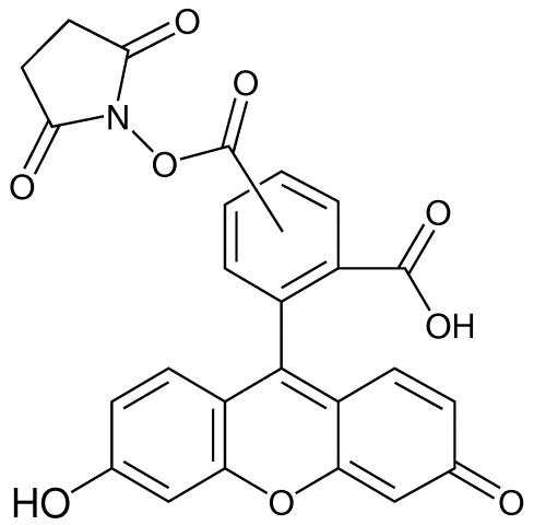 5(6)-羧基荧光素琥珀酰亚胺酯，<em>117548</em>-22-8，96%,异构体混合物