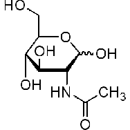 N-乙酰-D-氨基<em>葡萄糖</em>