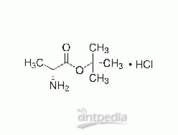 D-丙氨酸叔丁酯盐酸盐