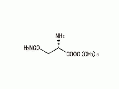 L-天冬酰胺叔丁酯