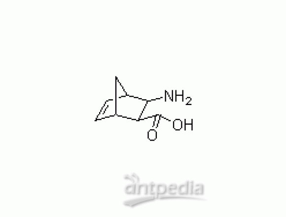 3-外双环氨基[2.2.1]-5-嗯-2-外羧基酸