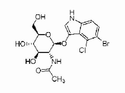 5-溴-4-氯-3-吲哚-N-乙酰-β-D-氨基葡萄糖苷