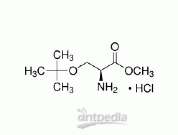 O-叔丁基-L-丝氨酸甲酯盐酸盐