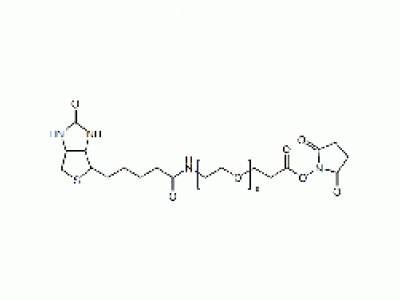 (+)-Biotin-PEG24-NHS Ester