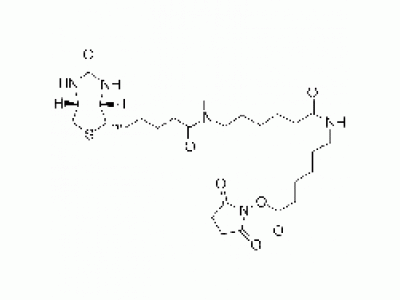N-[6-(生物素氨基)己酰基]-6-氨基己酸N-琥珀酰亚胺酯