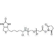 9-BiotinlaMino-4,7-dioxanonanoic <em>acid</em> <em>N</em>-hydroxysucciniMidyl <em>ester</em>