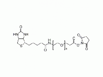 15-BiotinlaMino-4,7,10,13-dioxanonanoic acid N-hydroxysucciniMidyl ester