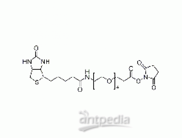 15-BiotinlaMino-4,7,10,13-dioxanonanoic acid N-hydroxysucciniMidyl ester