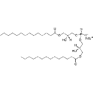 bis(monomyristoylglycero)phosphate (S,R <em>Isomer</em>) (ammonium salt)