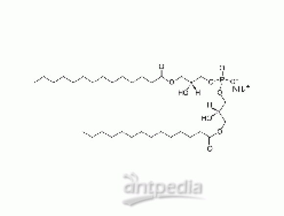 bis(monomyristoylglycero)phosphate (S,R Isomer) (ammonium salt)