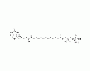 1-[12-biotinyl(aminododecanoyl)]-2-hydroxy-sn-glycero-3-phosphate (ammonium salt)
