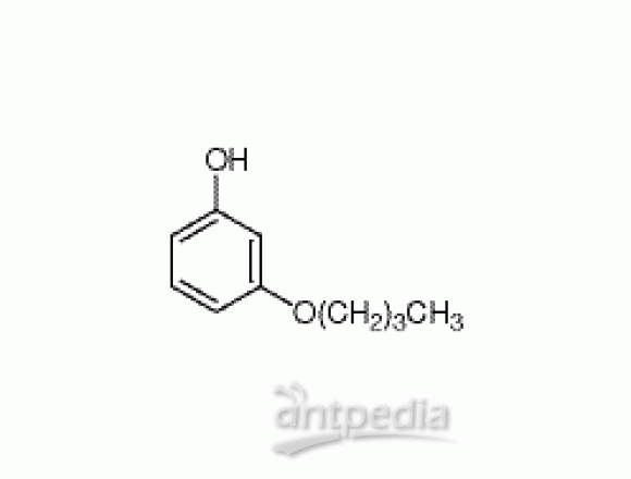 3-丁氧基苯酚