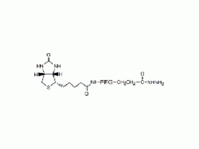 生物素 PEG 酰肼, 生物素 PEG NHNH2
