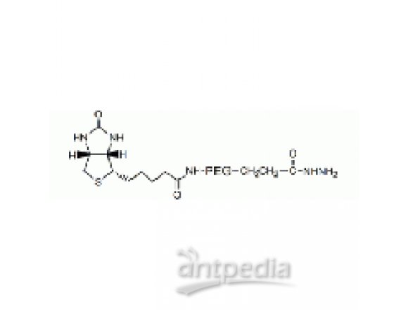 生物素 PEG 酰肼, 生物素 PEG NHNH2