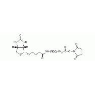 <em>生物素</em>-<em>PEG</em>-N-羟基琥珀酰亚胺