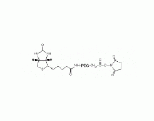 生物素-PEG-N-羟基琥珀酰亚胺