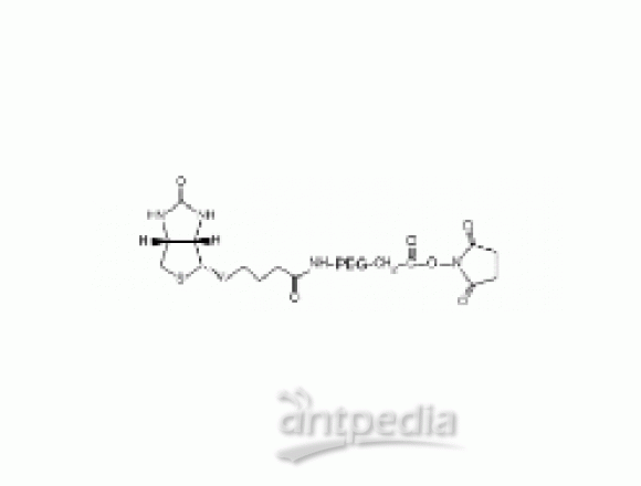 生物素-PEG-N-羟基琥珀酰亚胺