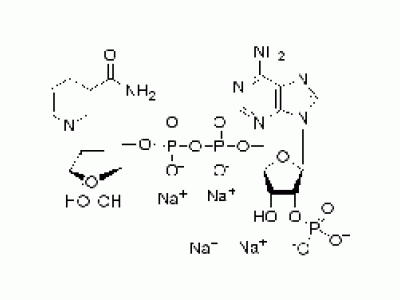 还原辅酶Ⅱ四钠盐(β-NADPH)