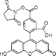 5-羧基<em>荧光</em>素琥珀酰亚胺酯