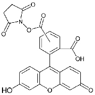 5(6)-羧基荧光素<em>琥珀</em><em>酰</em><em>亚胺</em>酯