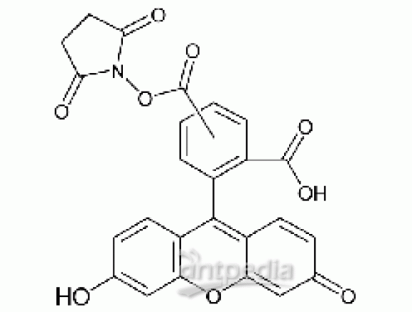 5(6)-羧基荧光素琥珀酰亚胺酯