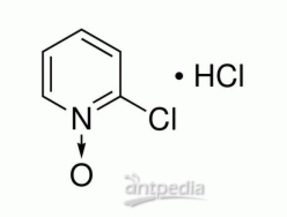 2-氯吡啶 N-氧化物 盐酸盐