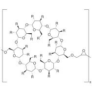 γ-<em>Cyclodextrin</em> polymer, soluble